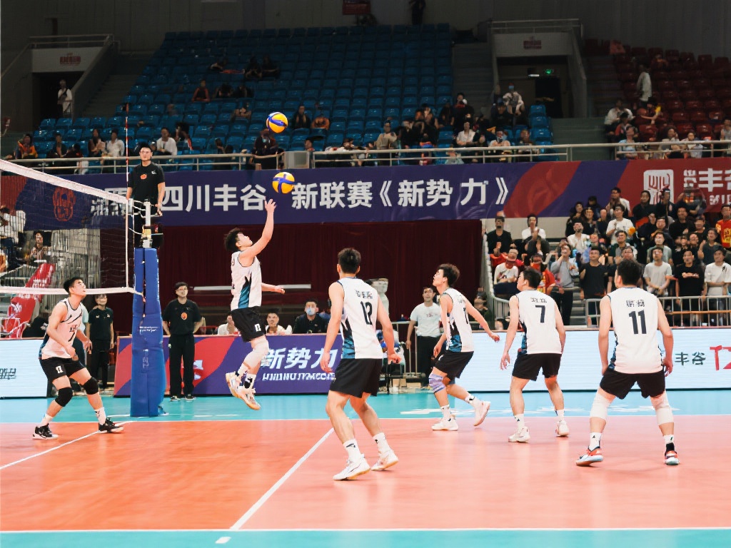 创造属于自 创造属于自